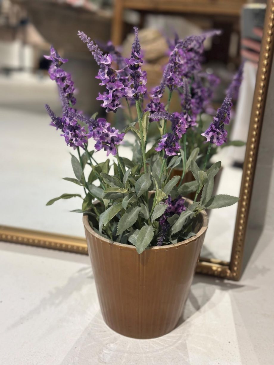 Mr. Plant Lavendel 46cm